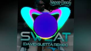 SNOOP DOG & David Guetta - Sweat (David Guetta Remix)