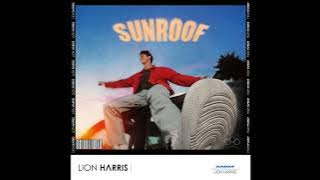 |Big Room| Nicky Youre x Dazy - Sunroof (LION HARRIS Festival Extended Mix) [Self-Released]