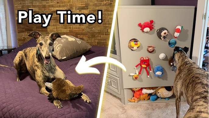 5 Ways To Diy Dog Toy Storage Build A Creative And 2024