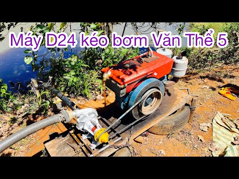 Máy dầu D24