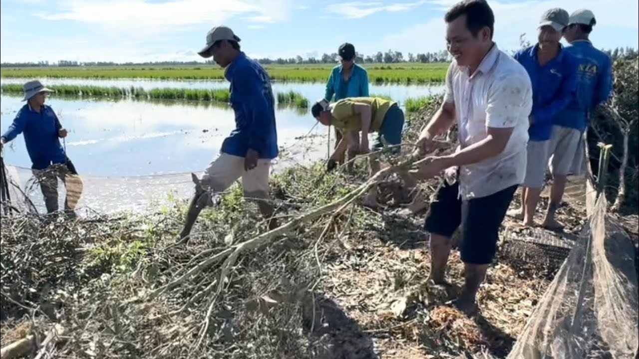 Trúng Mánh - Dỡ Chà Chuột Mùa Nước Nổi Ở Miền Tây | Hunting | - TT2026