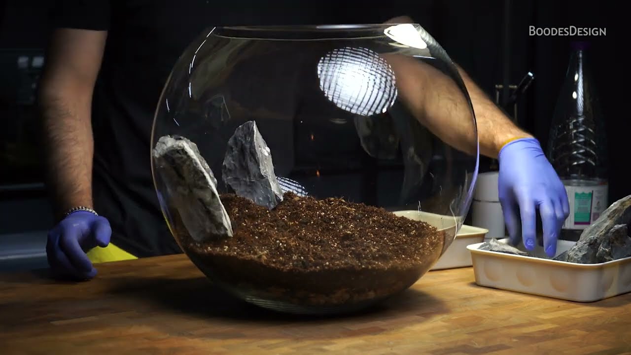 عمل تيراريوم مغلق الجزء الأول / Make a terrarium part one