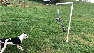 DIY tether tug pole for dogs. Short video of materials used.