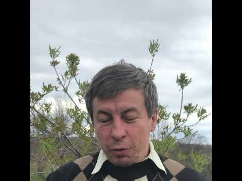 Скучаю по дому...