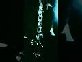 “Literally” Unfazed (Official Visualizer) Out Now #undergroundhiphop #rap #viralvideo #music #fyp