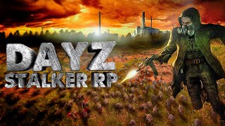 :    Dayz Noosfera