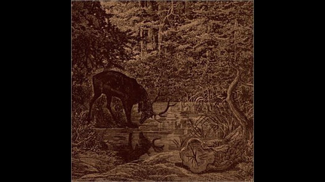 洋楽 FURIA ANIMAL: AZOTAND EL DESTINO 洋楽 FURIA ANIMAL: AZOTAND EL DESTINO 洋楽 FURIA ANIMAL