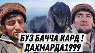 картинка: ДАХМАРДА1999-ро  БУЗОШ ТАВАЛЛУД КАРД! ХАЁТИ ДАХМАРДА БАЧА ДАР КУХУ ПУШТАХОИ ГАРМ  2025 