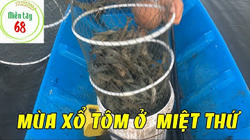 Thăm lú bắt tôm cùng anh trai miền tây (catch shrimp)|Miền tây 68|