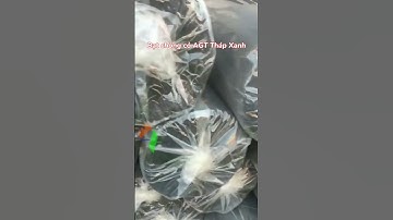 Nông cụ nông nghiệp Tháp Xanh, Công nghệ nông nghiệp, Thế giới Vật tư Máy móc