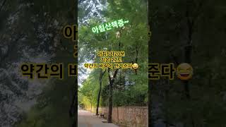 #25.7.9 #아침산책 #한국힐링대학교 #폭염경보 #열대야 #좋은하루 #웃자😊