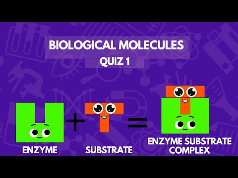 Biology MCQs: Topic
