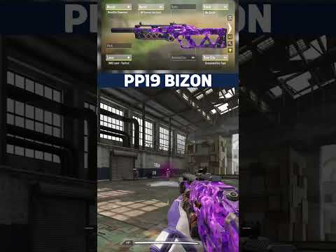 The BEST PP19