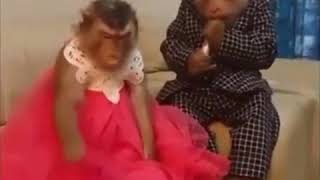 Ask Bir Sudur Ic Ic Kudur