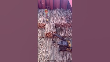 Loading Logs at New Zealand. #seamanlife #seamanvlog #seaman #lifeatsea #short #shorts #shortvideo