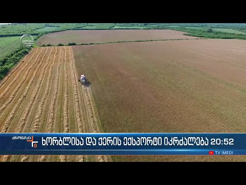 საქართველოდან ხორბლის და ქერის ექსპორტი აიკრძალება