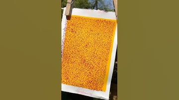 Prints - drypoint etching part 2