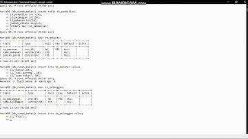 Tutorial Pembuatan Cursor di MySQL Menggunakan CMD
