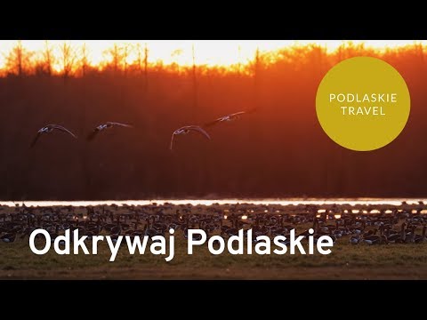 Odkrywaj Podlaskie