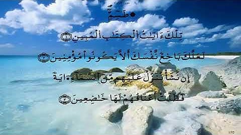 سورة الشعراء//لفضيلة الشيخ محمد أبو سنينة