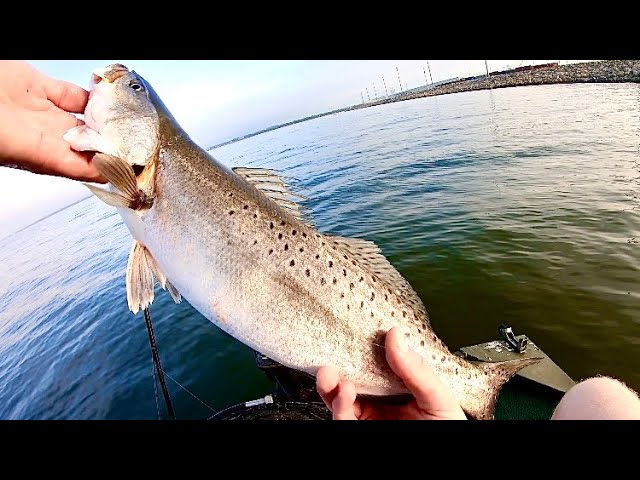 MY FIRST INSHORE SLAM! Fishing the MISSISSIPPI GULF COAST with @WaypointsOfTheSip ! class=