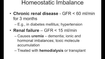 Chapter 27 Urinary System Part5