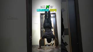 Day 51 of Learning Handstand Pushup 💪 #calisthenics #challenge #shorts