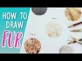 HOW TO DRAW FUR | Colored Pencil Drawing Tutorial