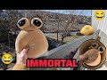 Funniest Immortal Pou vs Bucket vs Baseball Bat 😂😂