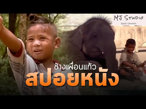 เรื่องราวแห่งมิตรภาพต่างสายพันธุ์ สปอยหนัง-เก่า ช้างเพื่อนแก้ว พ.ศ.2546