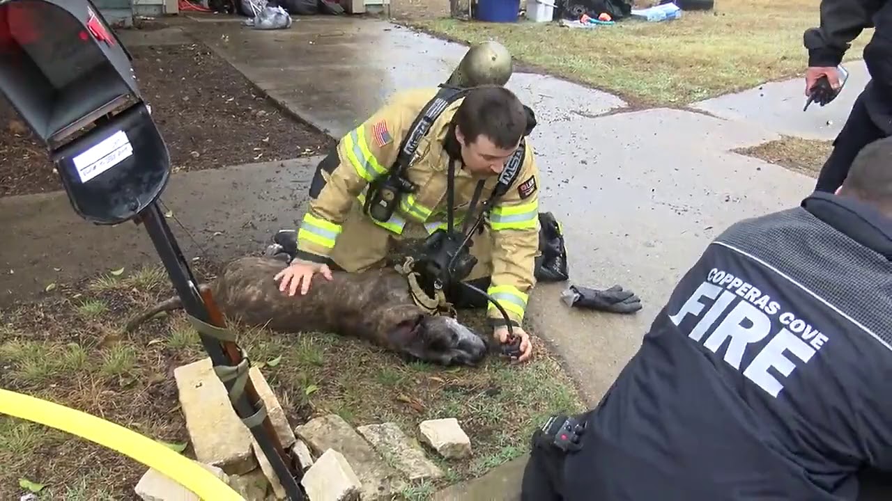 WARNING, SOME MIGHT CONSIDER THIS VIDEO GRAPHIC The Copperas Cove Fire