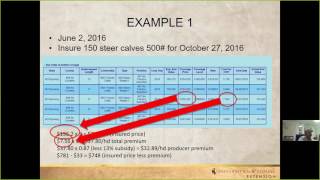 Livestock Risk Protection (LRP) Insurance