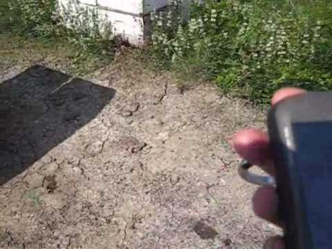 Geocaching - Extreme -Soda tube Trial #8 - Bees - ...
