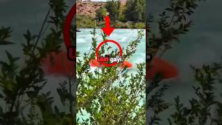 😱Boat Flipped Mid Race…☠️ His Genius Move Saved Everyone 🚨#shorts#viral