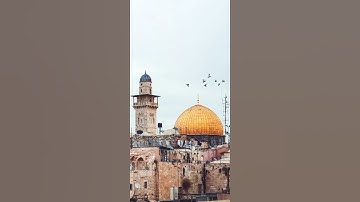 سورة الزمر بصوت الشيخ ياسر الدوسري ❤️💖