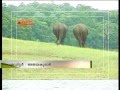 Asianet News Lens