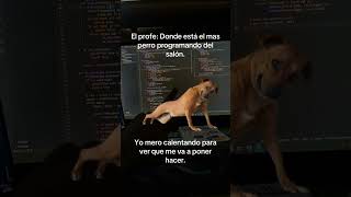 Quieres aprender a programar sigueme #developer #aleniastudios #music #python