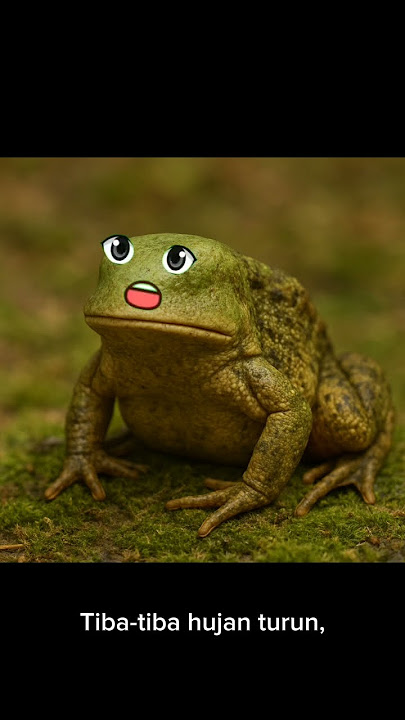 curhat sang kodok #katak #kodoklucu  #animasishort #animasi