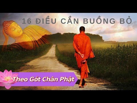 Video: 16 điều bạn cần từ bỏ để có một cuộc sống hạnh phúc