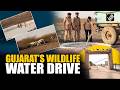 Gujarat launches intensive Jal-Parab wildlife support campaign