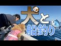 【釣り】ワンちゃんと船釣りに行ったら大変だった！？！？