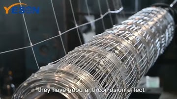 Leading Factory Manufacturer of Fixed Knot Field Fence for Horse Deer Cattle