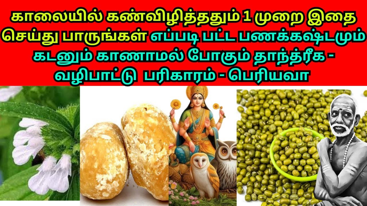 காலையில் கண்விழித்ததும் 1 முறை இதை செய்து பாருங்கள் பணக்கஷ்டம் கடனும் காணாமல் போகும் - பெரியவா