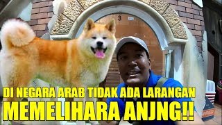 NGGAK ADA LARANG PELIHARA ANJING DI SAUDI ARABIA.