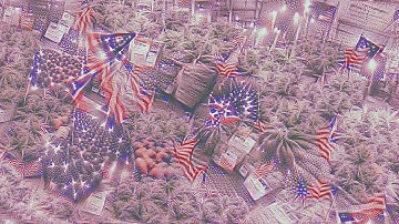 Banana Republic - AI Generated Animation (VQGAN+CLIP)