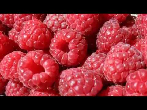Полезные свойства малины
