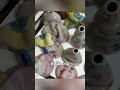女子手搓陶瓷 全军覆没 歪歪扭扭躺成一片 网友 懂了 传说中的 躺瓶 趣闻 女子手搓陶瓷 全军覆没 歪歪扭扭躺成一片 网友 懂了 传说中的 躺瓶 趣闻