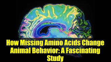 How Missing Amino Acids Change Animal Behavior: A Fascinating Study