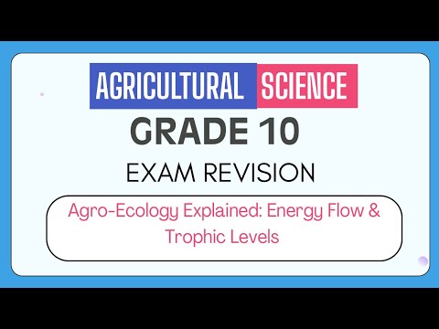 Agricultural Science Grade 10: Past Paper Revision Q&A EXPLAINED!