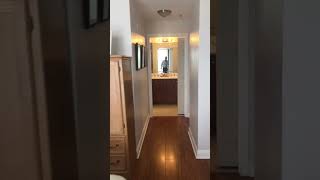 IMG 7487